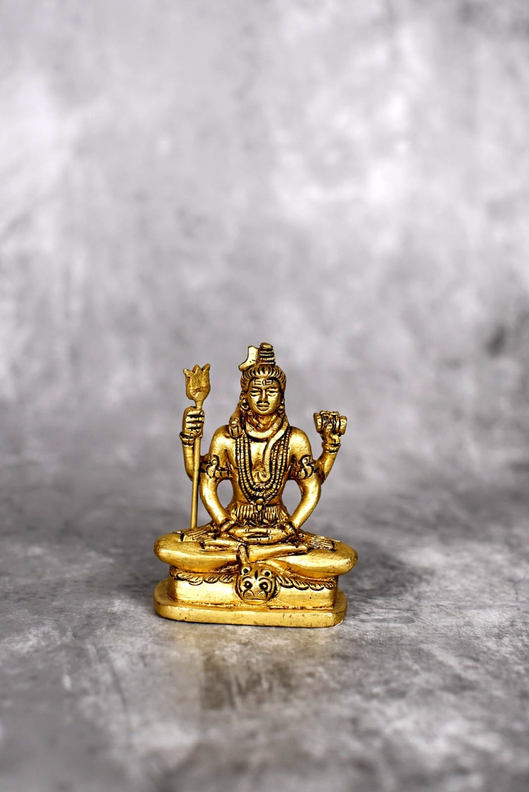 Sri Rudra Shivji – SR 01780 | Grocsy