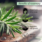 Pyoura Rosemary Water Spray For Hair Fall Control Natural Non-Greasy Heat Protection Serum Mist Toner | Grocsy