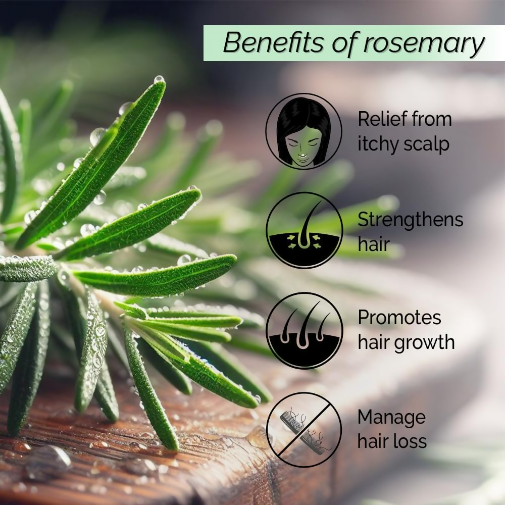 Pyoura Rosemary Water Spray For Hair Fall Control Natural Non-Greasy Heat Protection Serum Mist Toner | Grocsy