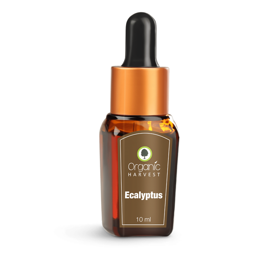 Organic Harvest Eucalyptus Essential Oil | Grocsy
