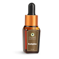 Organic Harvest Eucalyptus Essential Oil | Grocsy