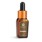 Organic Harvest Eucalyptus Essential Oil | Grocsy