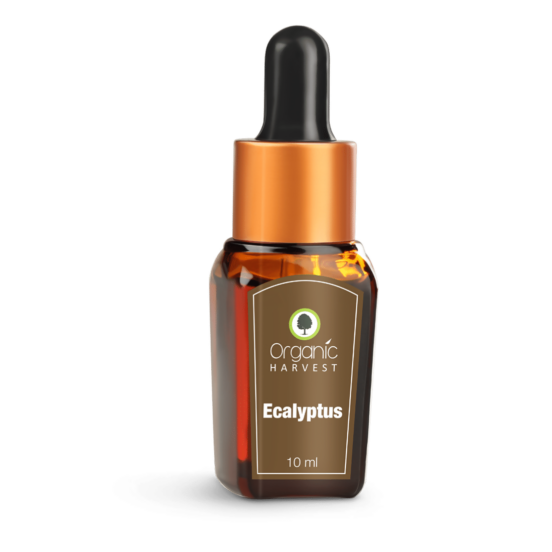 Organic Harvest Eucalyptus Essential Oil | Grocsy