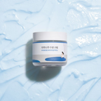 Round Lab Birch Juice Moisturizing Cream | Grocsy