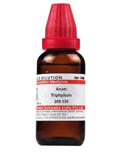 Dr. Willmar Schwabe India Arum Triphyllum Dilution | Grocsy