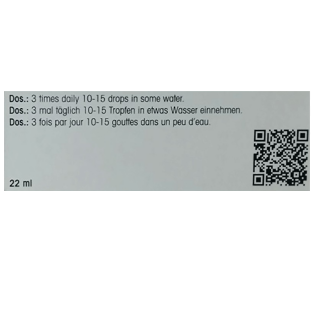 Dr. Reckeweg R 193 Immune System Fortifier Drop | Grocsy