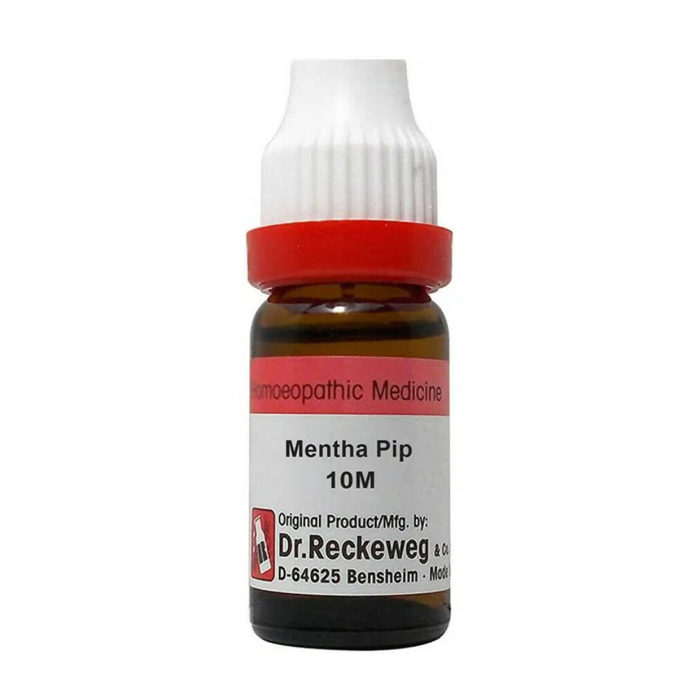 Dr. Reckeweg Mentha Pip Dilution | Grocsy