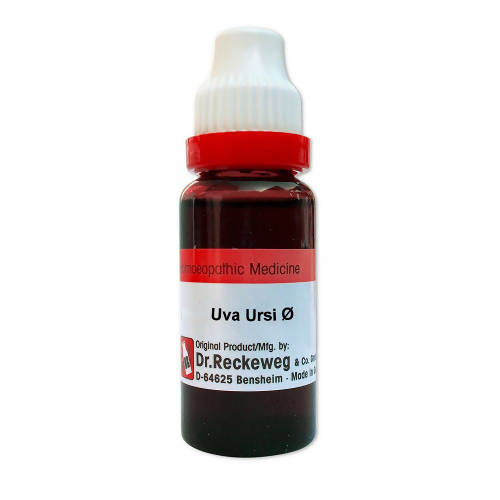Dr. Reckeweg Uva Ursi Mother Tincture Q | Grocsy