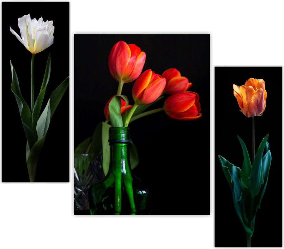 Tehzeeb Creations Set Of 3 Digital Wall Painting | Grocsy