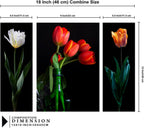 Tehzeeb Creations Set Of 3 Digital Wall Painting | Grocsy