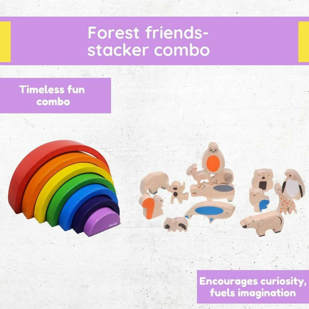 Matoyi Balancing Animals & Rainbow Stacker Combo | Grocsy
