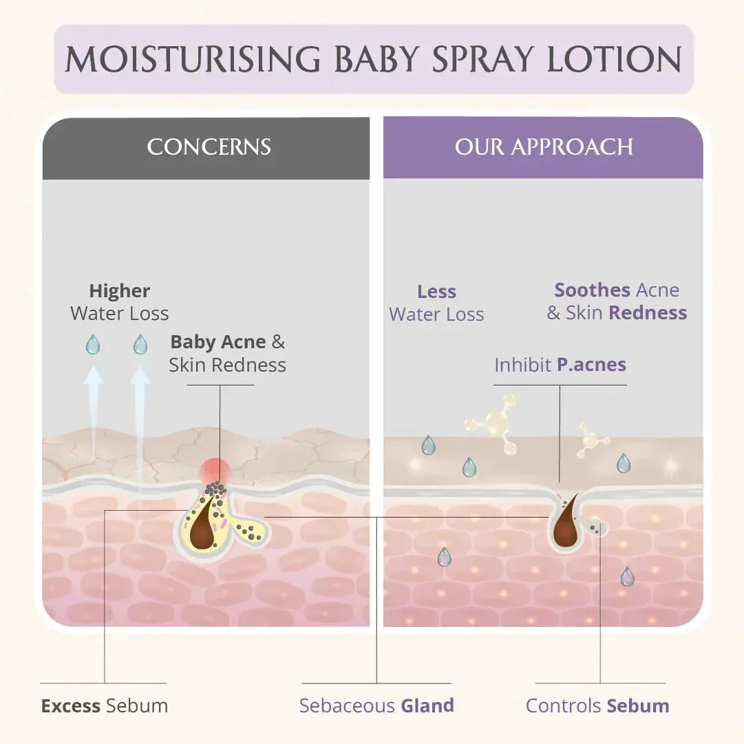 AreoVeda Baby Nourishing Essentials | Grocsy