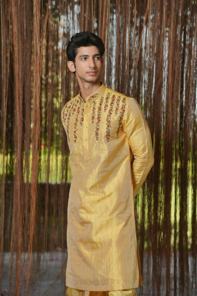 Gold Machine Kanjivaram Embroidered Pattu Set by Hilo Design | Grocsy