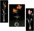 Tehzeeb Creations Set Of 3 Digital Wall Painting | Grocsy