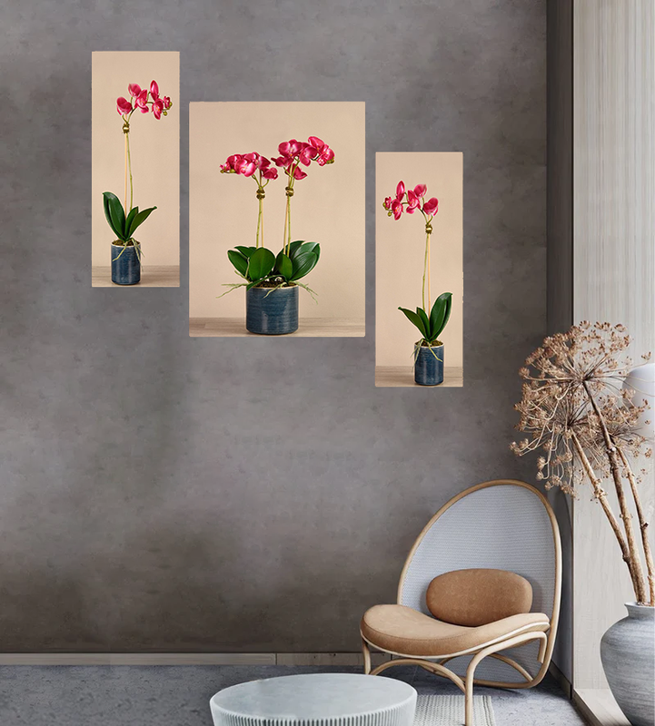 Tehzeeb Creations Set Of 3 Digital Wall Painting | Grocsy