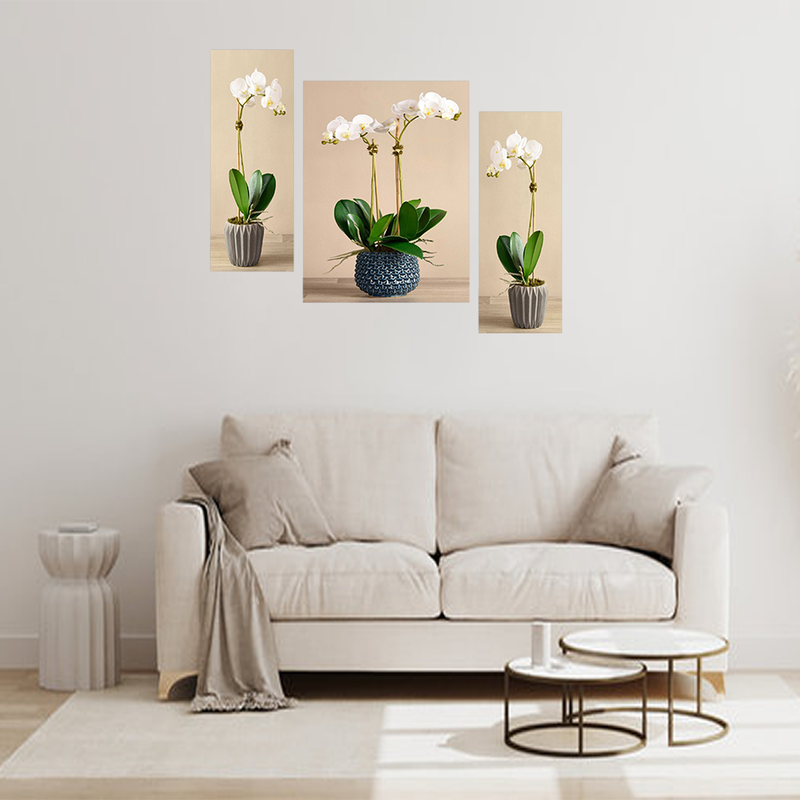 Tehzeeb Creations Set Of 3 Digital Wall Painting | Grocsy