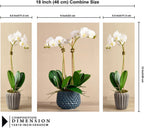 Tehzeeb Creations Set Of 3 Digital Wall Painting | Grocsy