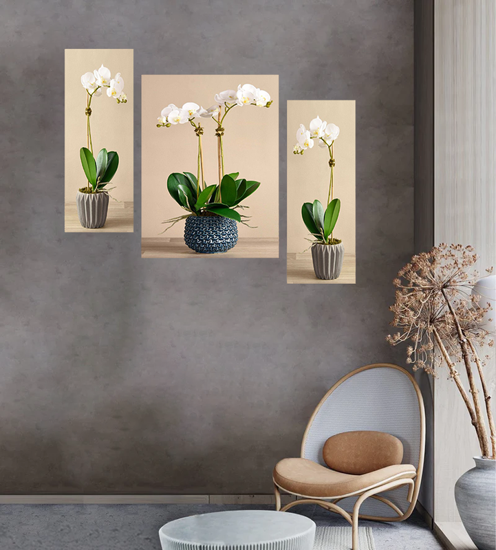 Tehzeeb Creations Set Of 3 Digital Wall Painting | Grocsy