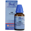 St. George's Bach Flower Remedies Pine Dilution | Grocsy
