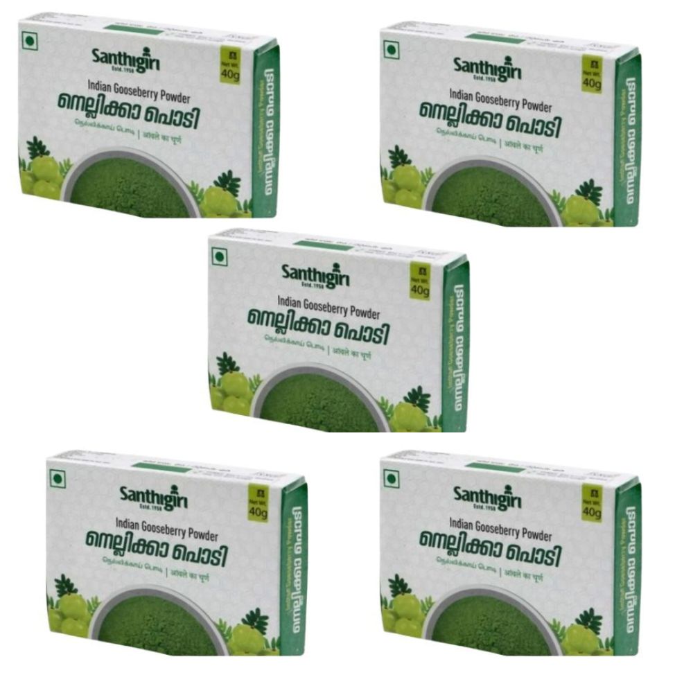 Santhigiri Neelayamari Podi | Grocsy