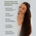 Pureus Herbals Shreekesha Anti Dandruff Shampoo | Grocsy