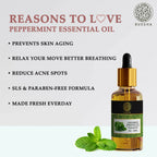 Buddha Natural Peppermint Pure Essential Oil - For Relieves Stress and Anxiety | Grocsy