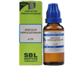 SBL Homeopathy Aesculus Hippocastanum Dilution | Grocsy
