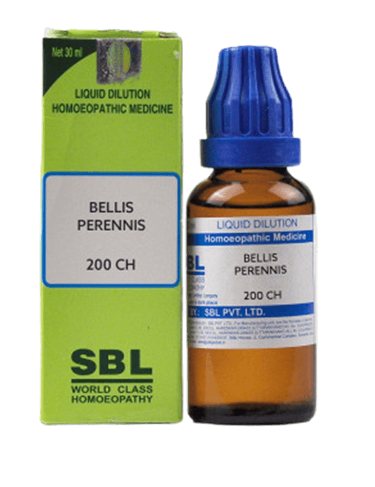SBL Homeopathy Bellis Perennis Dilution | Grocsy