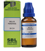 SBL Homeopathy Bellis Perennis Dilution | Grocsy
