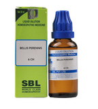 SBL Homeopathy Bellis Perennis Dilution | Grocsy