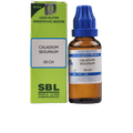 SBL Homeopathy Caladium Seguinum Dilution | Grocsy