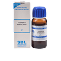 SBL Homeopathy Fraxinus Americana Mother Tincture Q | Grocsy