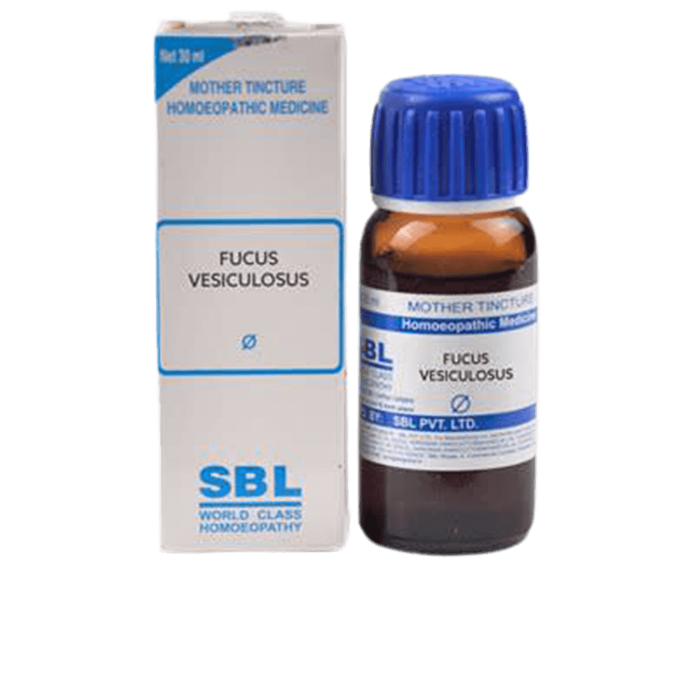 SBL Homeopathy Fucus Vesiculosus Mother Tincture Q | Grocsy
