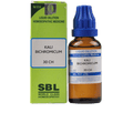 SBL Homeopathy Kali Bichromicum Dilution | Grocsy