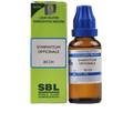 SBL Homeopathy Symphytum Officinale Dilution | Grocsy