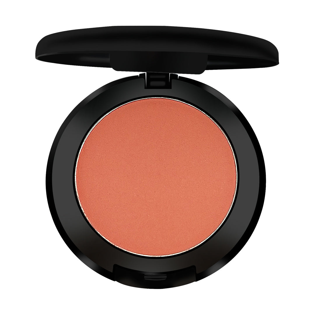 Glamgals Hollywood-U.S.A Salmon Pink Professional Blush | Grocsy