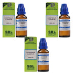 SBL Homeopathy Lycopodium Clavatum Dilution | Grocsy