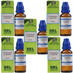 SBL Homeopathy Lycopodium Clavatum Dilution | Grocsy