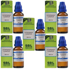 SBL Homeopathy Lycopodium Clavatum Dilution | Grocsy