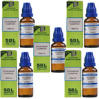 SBL Homeopathy Lycopodium Clavatum Dilution | Grocsy