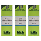 SBL Homeopathy Rhus Toxicodendron Dilution | Grocsy