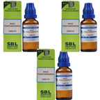 SBL Homeopathy Rhus Toxicodendron Dilution | Grocsy