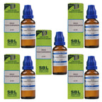 SBL Homeopathy Rhus Toxicodendron Dilution | Grocsy