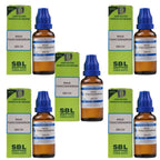 SBL Homeopathy Rhus Toxicodendron Dilution | Grocsy