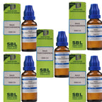 SBL Homeopathy Rhus Toxicodendron Dilution | Grocsy