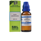 SBL Homeopathy Ruta Graveolens Dilution | Grocsy