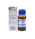SBL Homeopathy Berberis Aquifolium Mother Tincture Q | Grocsy