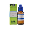 SBL Homeopathy Curcuma Longa Dilution | Grocsy