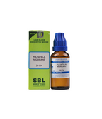 SBL Homeopathy Pulsatilla Nigricans Dilution | Grocsy
