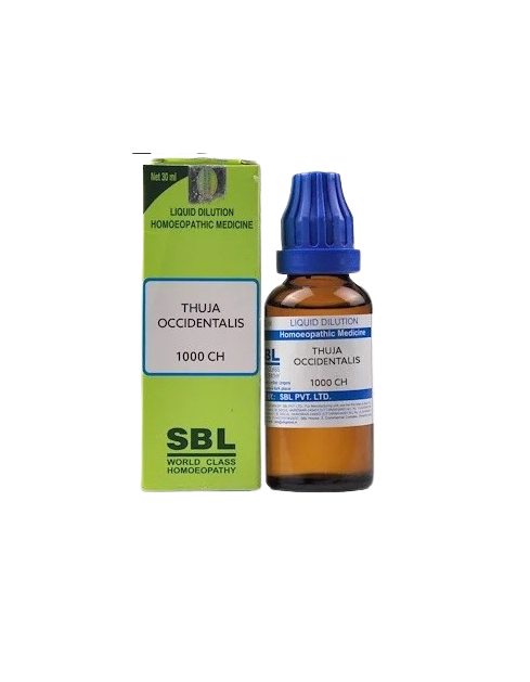 SBL Homeopathy Thuja Occidentalis Dilution | Grocsy
